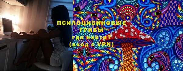 дурь Горняк